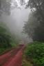 Argentina, Calilegua National Park -  Car driving into the mist.JPG