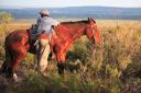 Argentina, Mendoza - Gaucho and horse in a warm light.JPG