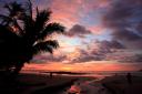 Costa Rica, Tamarindo - Pink sunset and palm.JPG