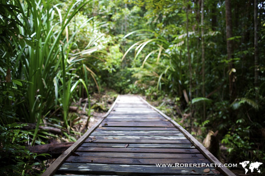 Borneo, Malaysia, Sarawak, Kuching, Travel, Photography, Photographer