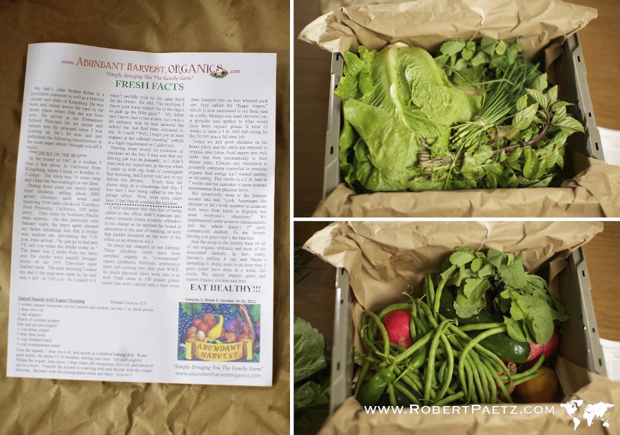 Abundant, Harvest, Organics, Small, Box, Vegetables, Fruit, Photography