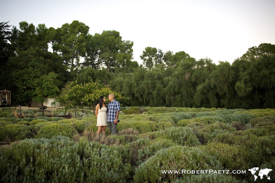 Highland, Springs, Engagement, Session, Photography, Photographer, Los, Angeles, Chino, Hills, Wedding,