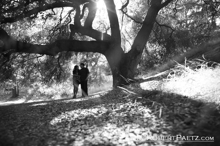 Angeles, Beverly Hills, California, Canyon, County, Franklin, Los, Orange, Park, photographer, photography, Wedding
