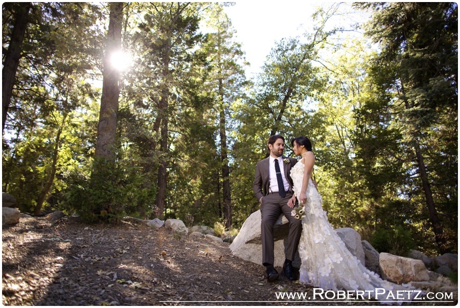 Pine, Rose, Cabins, Arrowhead, California, Wedding, Photography, Photographer, Big, Bear, Mountain, Trees