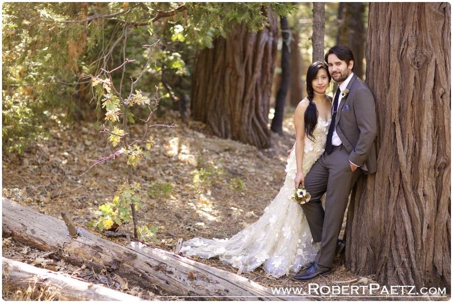 Pine, Rose, Cabins, Arrowhead, California, Wedding, Photography, Photographer, Big, Bear, Mountain, Trees