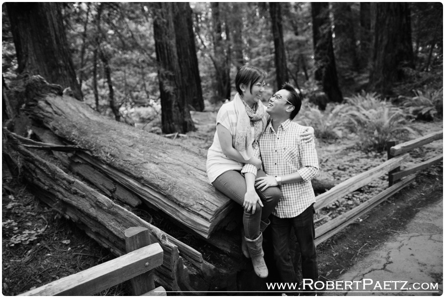 San, Francisco, Engagement, Pre, Wedding, Muir, Woods, Photography, Photographer, California