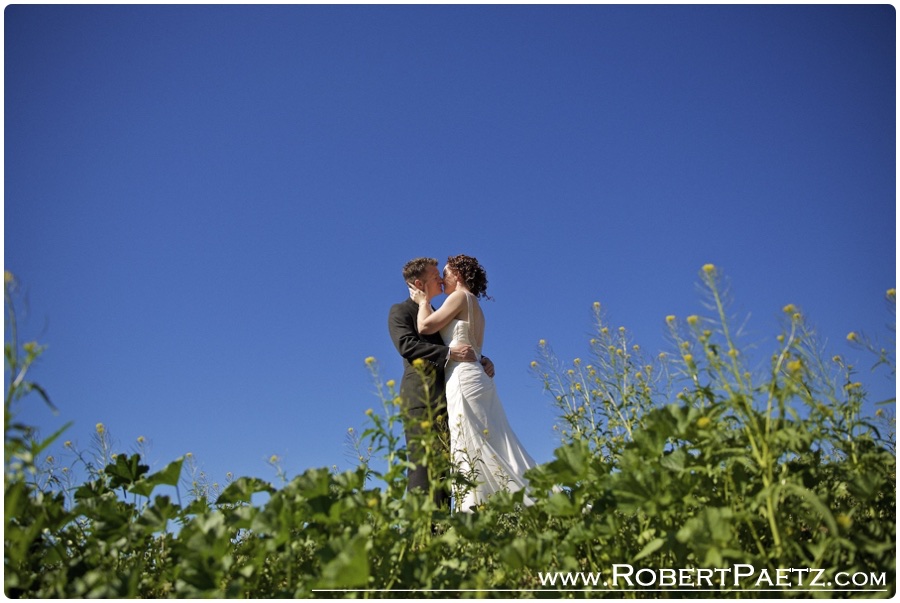 San, Diego, Backyard, Wedding, Photography, Photographer