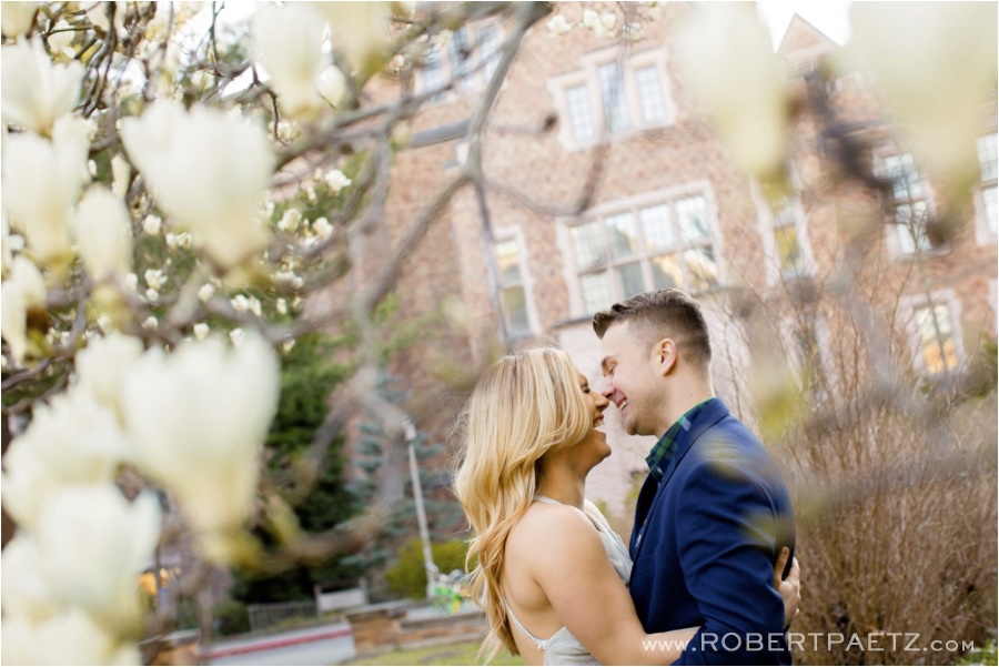 University of Washington Wedding Photography Engagement session in the late afternoon light during springtime and cherry blossom season. 