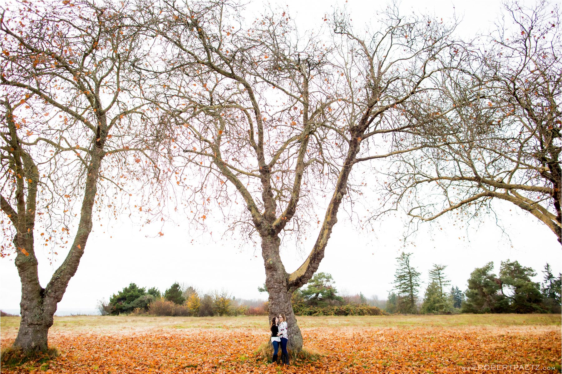 A fall engagement photography session amongst the orange and yellow leaves of Discovery Park in Seattle, photographed by the destination wedding photographer, Robert Paetz. 